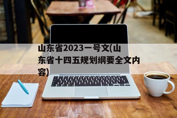 山东省2023一号文(山东省十四五规划纲要全文内容)