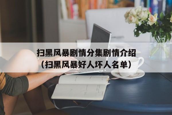 扫黑风暴剧情分集剧情介绍（扫黑风暴好人坏人名单）