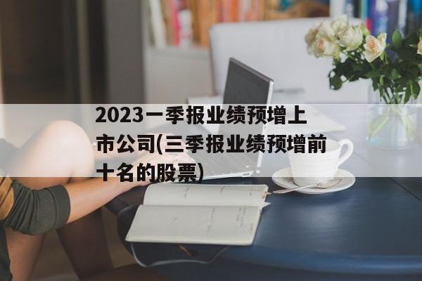 2023一季报业绩预增上市公司(三季报业绩预增前十名的股票)