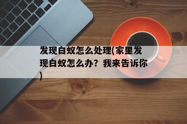 发现白蚁怎么处理(家里发现白蚁怎么办？我来告诉你)