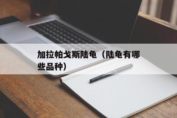 加拉帕戈斯陆龟（陆龟有哪些品种）