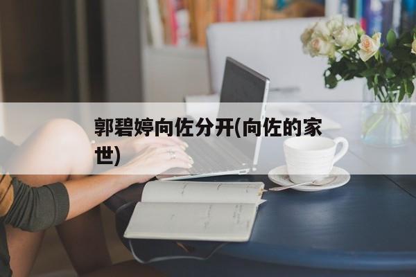 郭碧婷向佐分开(向佐的家世)