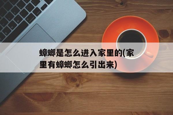 蟑螂是怎么进入家里的(家里有蟑螂怎么引出来)