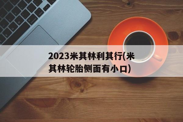 2023米其林利其行(米其林轮胎侧面有小口)