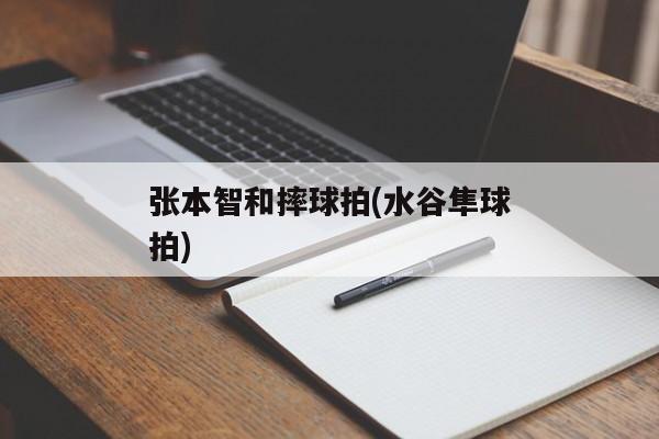 张本智和摔球拍(水谷隼球拍)