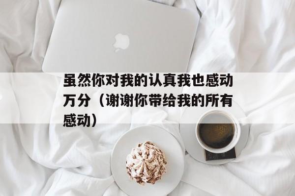 虽然你对我的认真我也感动万分（谢谢你带给我的所有感动）