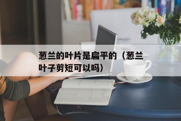 葱兰的叶片是扁平的（葱兰叶子剪短可以吗）