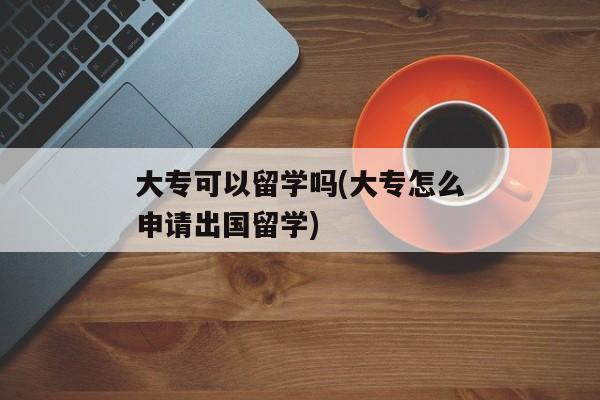 大专可以留学吗(大专怎么申请出国留学)