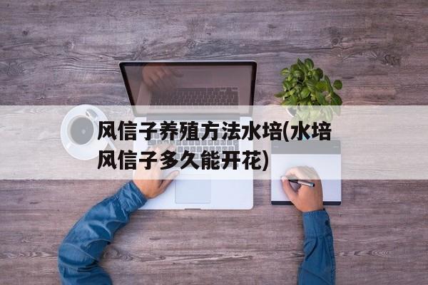 风信子养殖方法水培(水培风信子多久能开花)