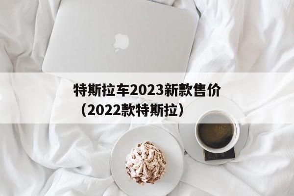 特斯拉车2023新款售价（2022款特斯拉）