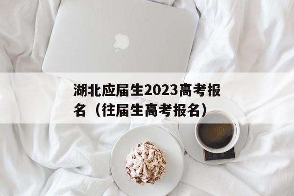 湖北应届生2023高考报名（往届生高考报名）