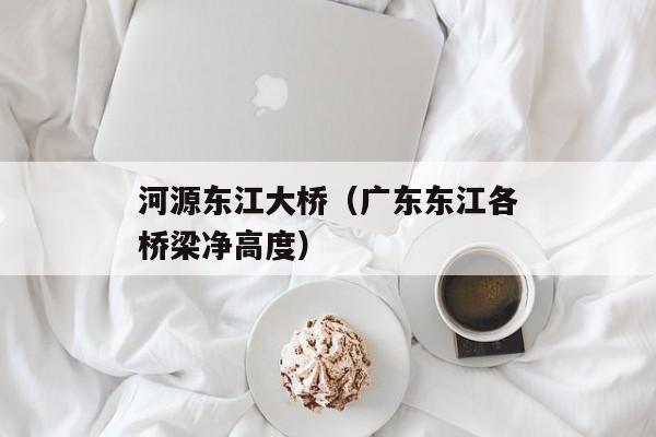 河源东江大桥（广东东江各桥梁净高度）