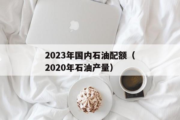 2023年国内石油配额（2020年石油产量）