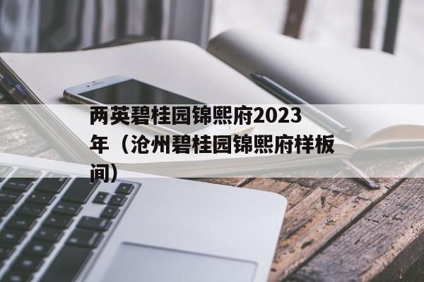 两英碧桂园锦熙府2023年（沧州碧桂园锦熙府样板间）