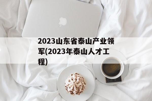 2023山东省泰山产业领军(2023年泰山人才工程)