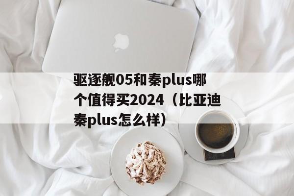 驱逐舰05和秦plus哪个值得买2024（比亚迪秦plus怎么样）