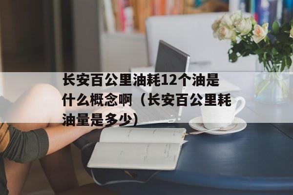 长安百公里油耗12个油是什么概念啊（长安百公里耗油量是多少）