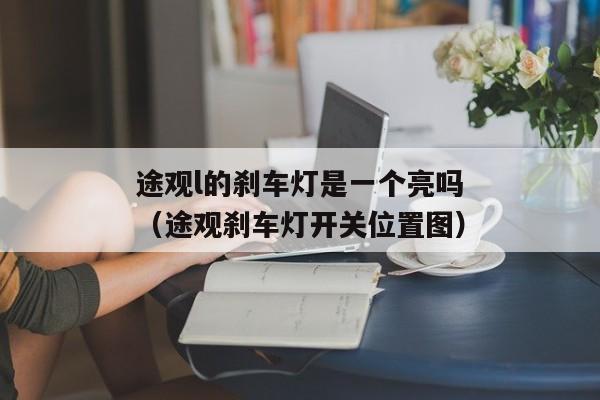 途观l的刹车灯是一个亮吗（途观刹车灯开关位置图）