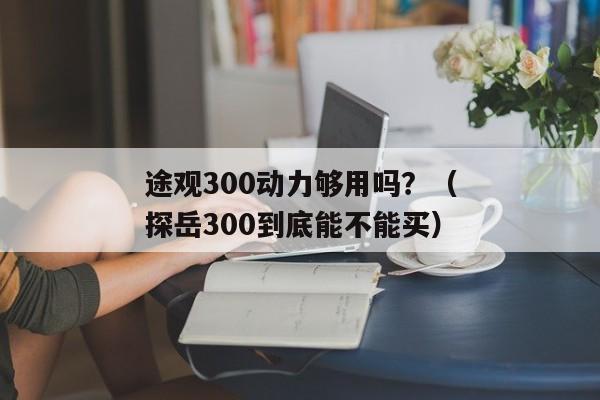 途观300动力够用吗？（探岳300到底能不能买）