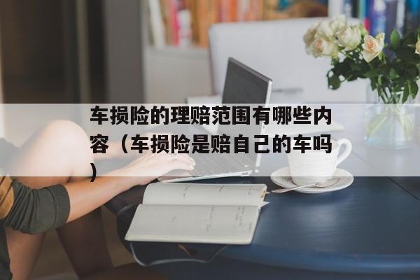 车损险的理赔范围有哪些内容（车损险是赔自己的车吗）