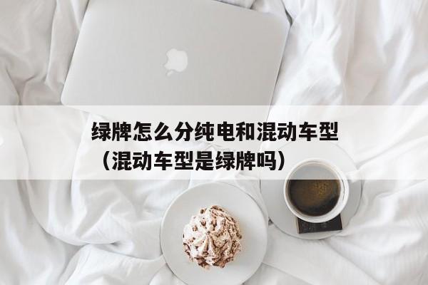 绿牌怎么分纯电和混动车型（混动车型是绿牌吗）