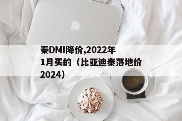 秦DMI降价,2022年1月买的（比亚迪秦落地价2024）