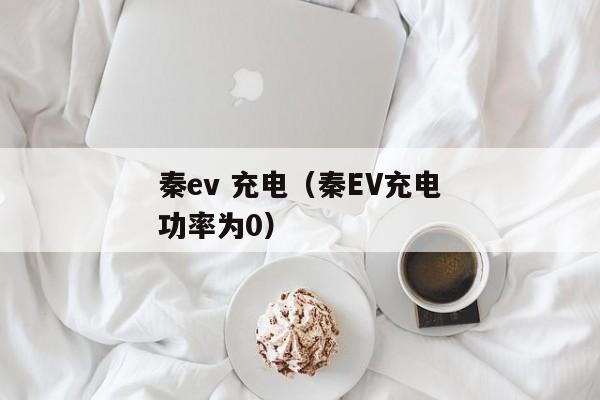 秦ev 充电（秦EV充电功率为0）