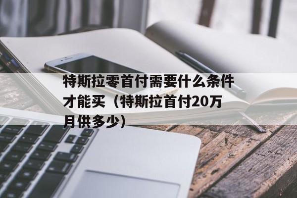 特斯拉零首付需要什么条件才能买（特斯拉首付20万月供多少）