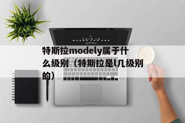 特斯拉modely属于什么级别（特斯拉是l几级别的）