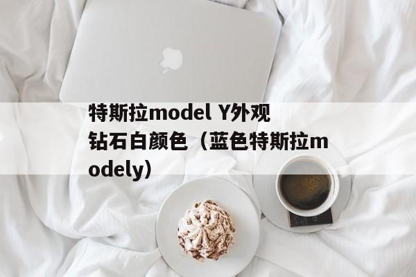 特斯拉model Y外观钻石白颜色（蓝色特斯拉modely）