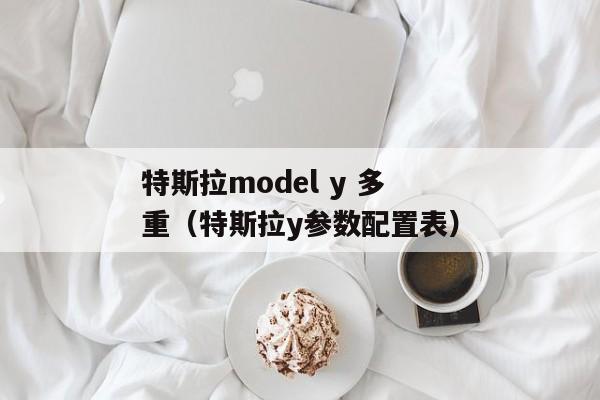 特斯拉model y 多重（特斯拉y参数配置表）