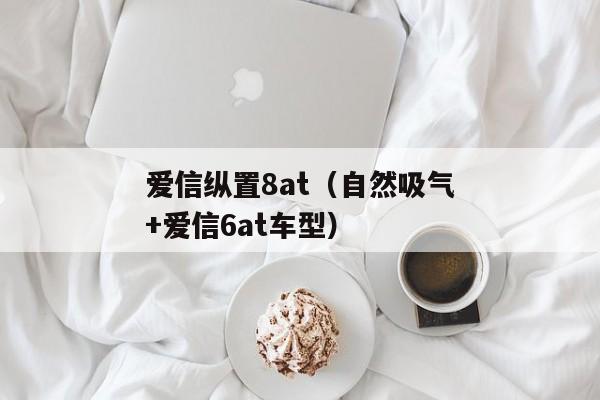 爱信纵置8at（自然吸气+爱信6at车型）