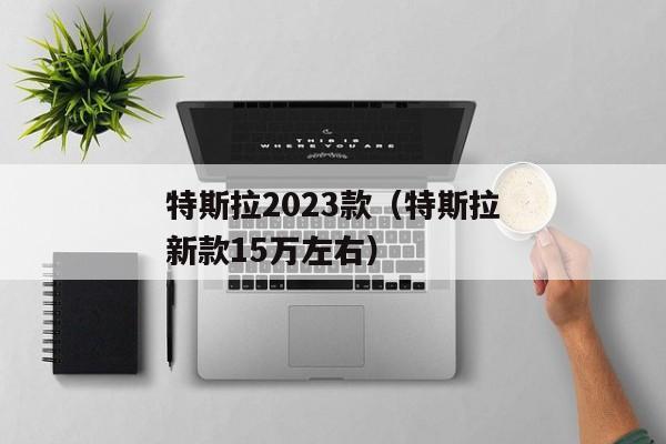 特斯拉2023款（特斯拉新款15万左右）