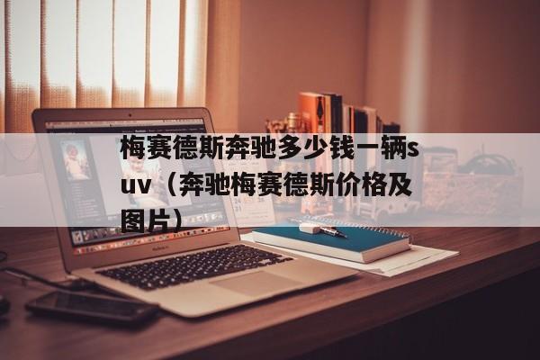 梅赛德斯奔驰多少钱一辆suv（奔驰梅赛德斯价格及图片）