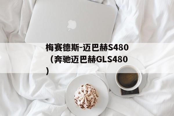 梅赛德斯-迈巴赫S480（奔驰迈巴赫GLS480）