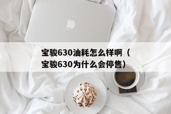 宝骏630油耗怎么样啊（宝骏630为什么会停售）