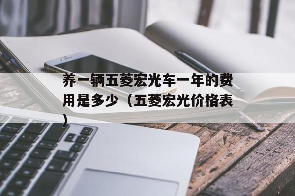 养一辆五菱宏光车一年的费用是多少（五菱宏光价格表）