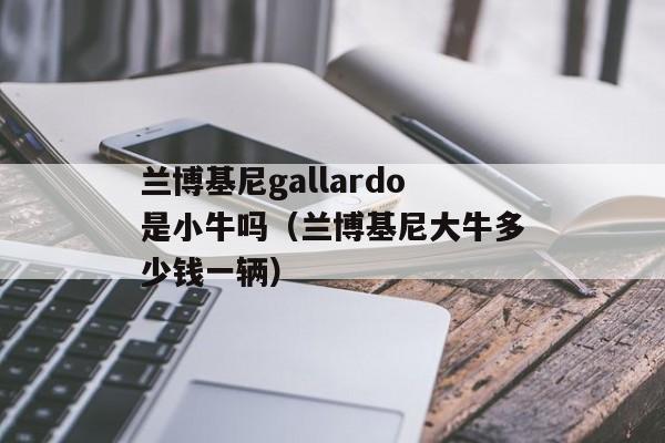 兰博基尼gallardo是小牛吗（兰博基尼大牛多少钱一辆）