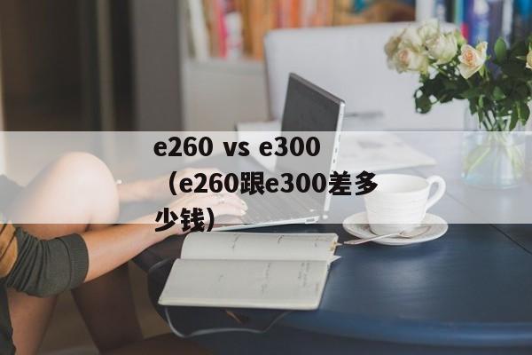 e260 vs e300（e260跟e300差多少钱）