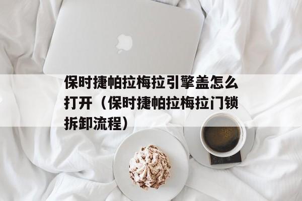 保时捷帕拉梅拉引擎盖怎么打开（保时捷帕拉梅拉门锁拆卸流程）